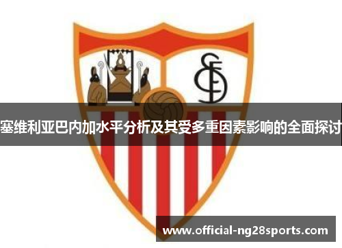 塞维利亚巴内加水平分析及其受多重因素影响的全面探讨