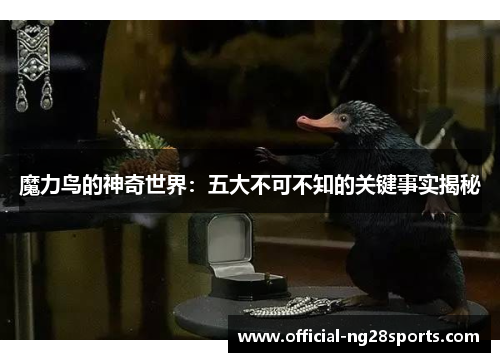 魔力鸟的神奇世界：五大不可不知的关键事实揭秘