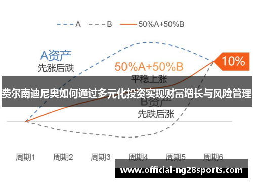 费尔南迪尼奥如何通过多元化投资实现财富增长与风险管理