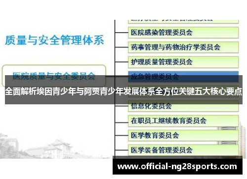 全面解析埃因青少年与阿贾青少年发展体系全方位关键五大核心要点
