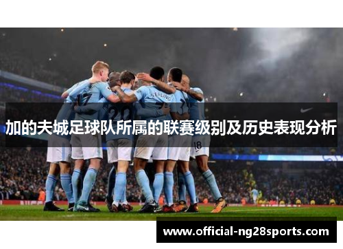 加的夫城足球队所属的联赛级别及历史表现分析