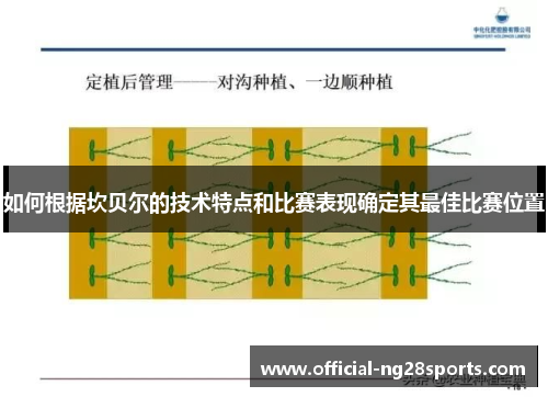 如何根据坎贝尔的技术特点和比赛表现确定其最佳比赛位置