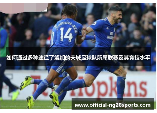 如何通过多种途径了解加的夫城足球队所属联赛及其竞技水平 如何通过多种途径了解加的夫城足球队所属联赛及其竞技水平