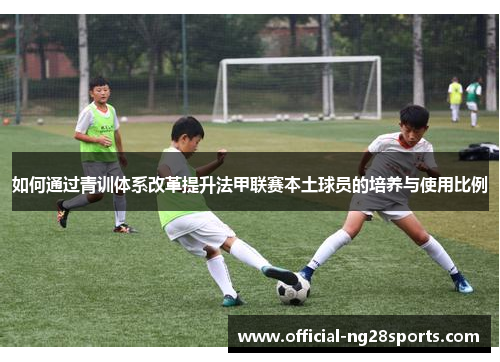 如何通过青训体系改革提升法甲联赛本土球员的培养与使用比例